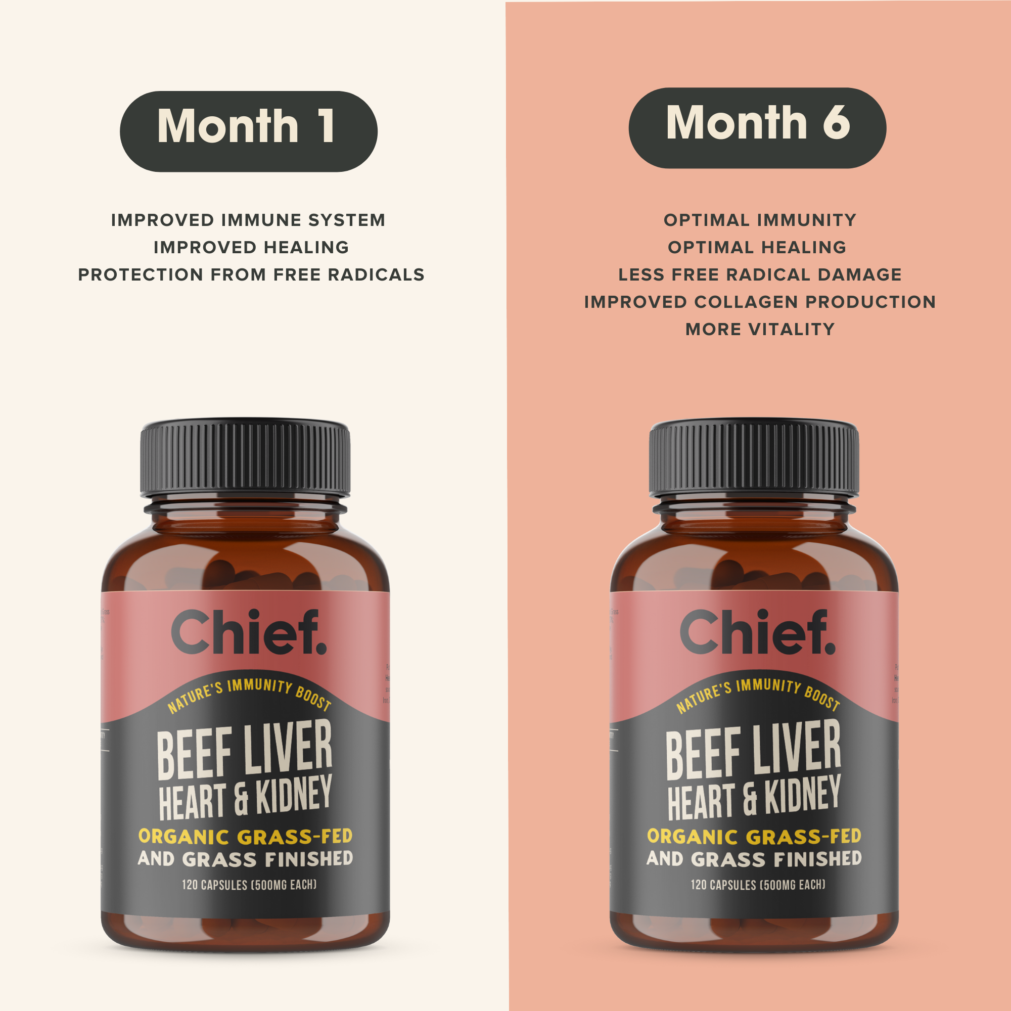Chief Supplements