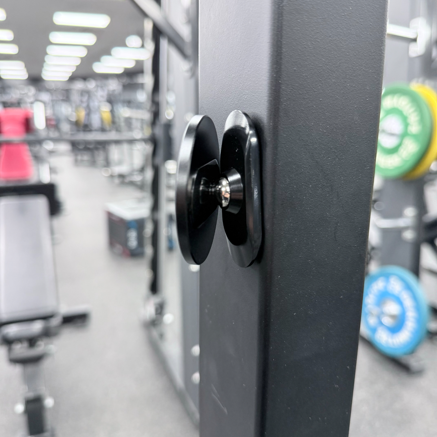 Fitmas Content Creator Bundle